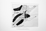 schizzi di Andy Warhol dedicati alla danza