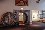 mostra fotografica a White Plains