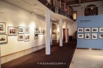 mostra fotografica a White Plains