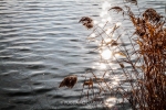 new-york-047