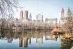 new-york-051