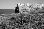 Polignano a Mare