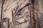 Mostra - Vincenzo Mascoli Otranto