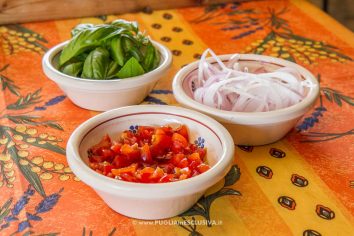 panzanella-frisella-pugliese-10