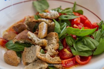 panzanella-frisella-pugliese-11