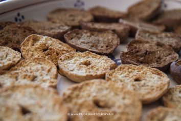 panzanella-frisella-pugliese-7