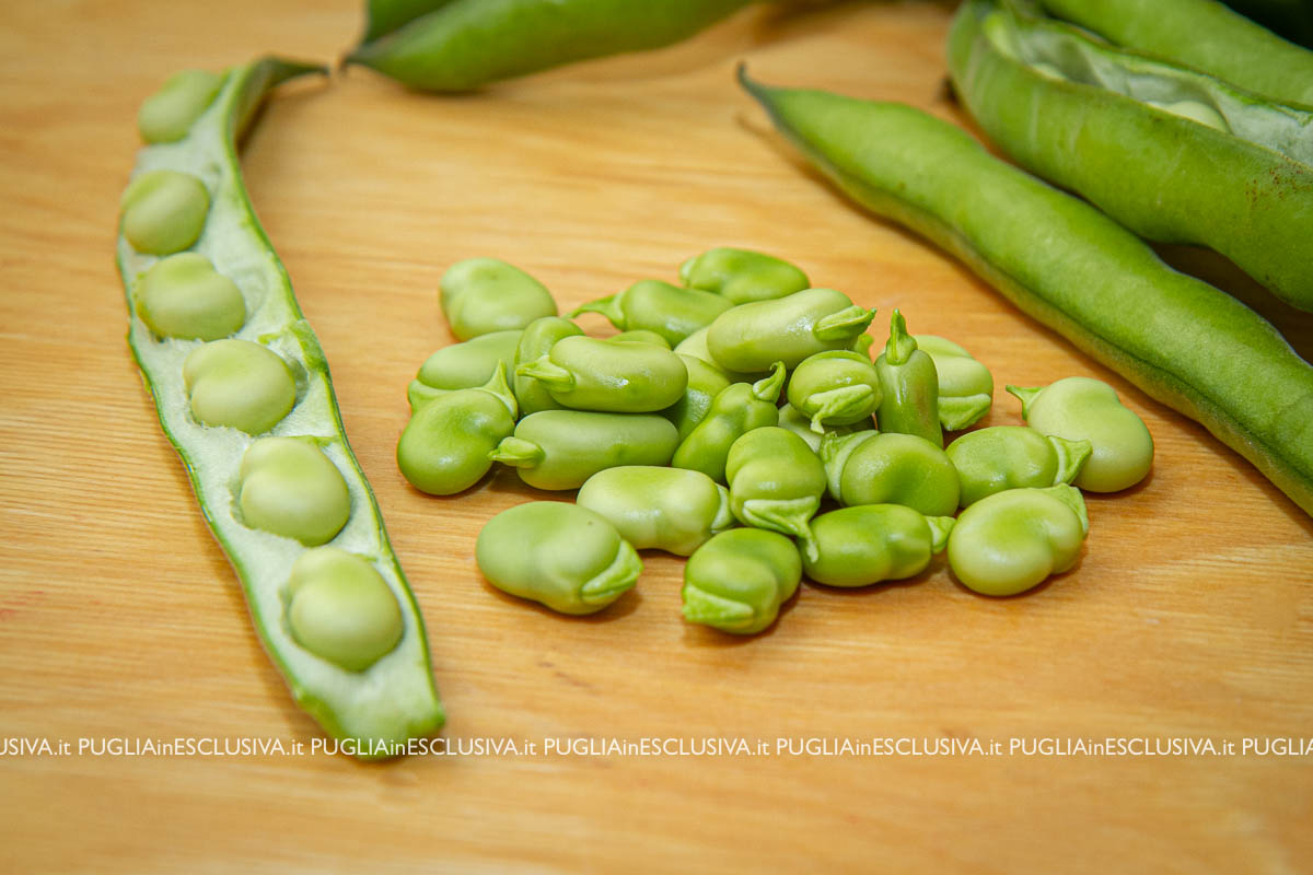 Fave novelle fuori dal baccello