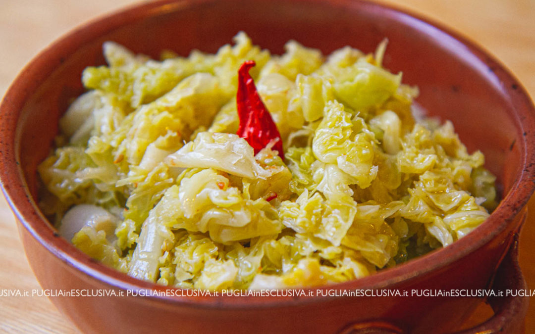 Cavolo verza stufato